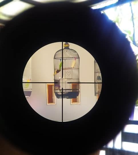 BSA 3-12X40 Sweet 17 reticle