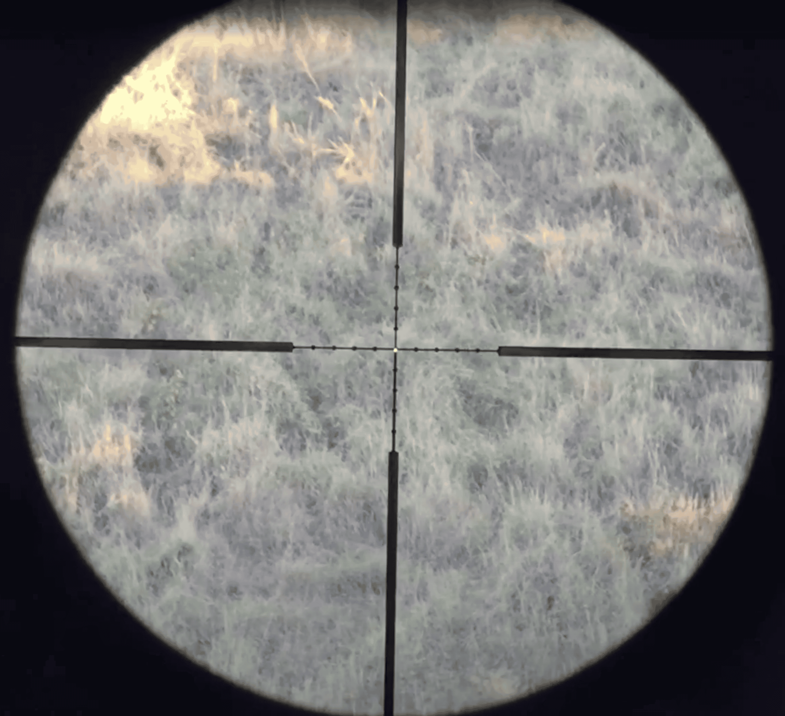 Trijicon TR20 AccuPoint 3-9x40 reticle
