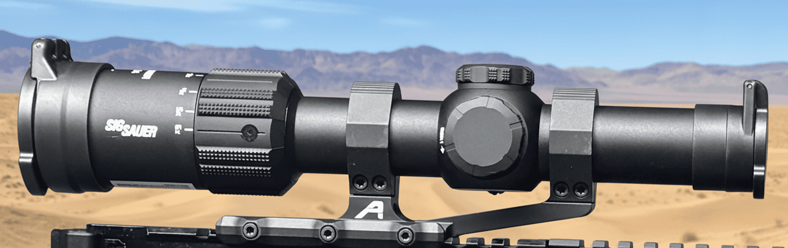 sig sauer main view 